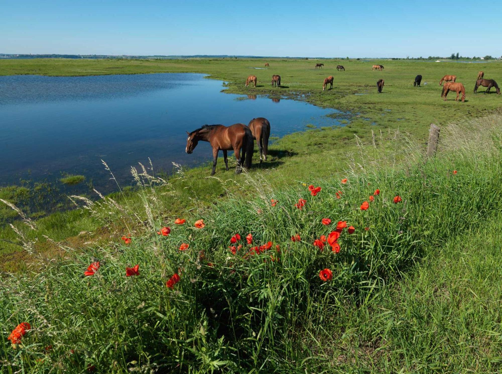 Inselhaeuser Kaltenhof Inselhaus Poel 1 Екстер'єр фото